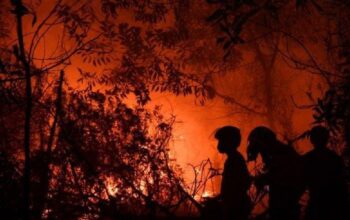 Titik Panas Karhutla Tembus 799, Kemenhut Perkuat Operasi Darat dan Udara