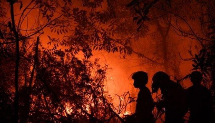 Titik Panas Karhutla Tembus 799, Kemenhut Perkuat Operasi Darat dan Udara