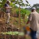 Warga Cikarang Timur Digegerkan Penemuan Mayat Pria di Kali Irigasi