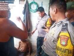 Gerak Cepat..!!! Polsek Pebayuran Amankan Diduga Pelaku Curanmor Dari Amuk Masa