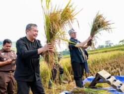 Targetkan Produksi Ratusan Ribu Ton Beras Tahun 2024, Purwakarta Benahi Infrastruktur Pertanian
