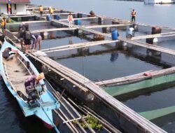 Purwakarta Perkuat Posisi Sebagai Penghasil Utama Ikan Air Tawar Jawa Barat
