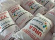 9 Kecamatan di Sumedang Dapatkan Alokasi Pupuk Organik Bersubsidi