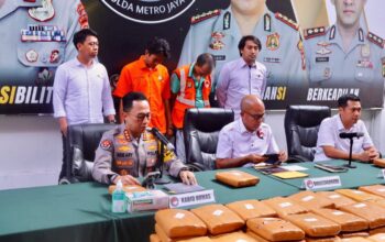Polda Metro Jaya Berhasil Ringkus 2 Residivis Pengedar Ganja Seberat 99 Kg