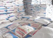 Biaya Produksi Lahan Pertanian Semangkin Tinggi Harga Pupuk Mangkin Mahal Hasil Panen Murah