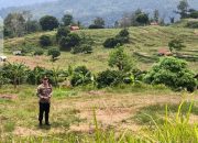 Dukung Ketahanan Pangan Nasional Komoditi Jagung, AKP Rustandi Tinjau LBS Dukung Petani Dalam Ketahanan Pangan Desa