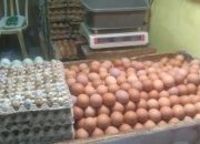 Pedagang Pasar Cipanas Desak Pemerintah Tindak Kesenjangan Ekonomi: Harga Naik, Pembeli Turun, Pasar Lesu