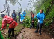BNN Ungkap Lahan Berisi Tanaman Diduga Khat di Kawasan Puncak Cipanas Cianjur