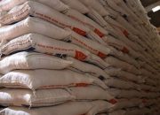 Bulog Cianjur Lampaui Target Serapan Gabah Nasional 2025, Stok Beras Akhir Tahun Dipastikan Aman