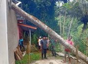 Hujan dan Angin Kencang, Pohon Petai Tumbang Timpa Rumah Warga di Cianjur