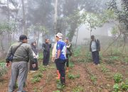 LPHD Sukatani Mukti Cibanteng Cianjur: Kades Temukan Penggarap Luar Desa dan Bangunan Tanpa Izin