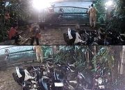 Aksi Terorganisir di Lahan Sengketa Florence, Aparat Didesak Turun Tangan