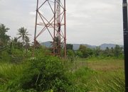 Pria Nekat Panjat Tower BTS di Ciranjang, Petugas Siaga Evakuasi dan Polisi Amankan Korban
