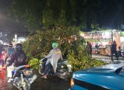 * Pohon Tumbang Tutup Sebagian Ruas Jalan Akses UI Dekat RS Brimob Depok Bikin Lalu Lintas Macet *