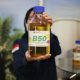 Program B50 Disiapkan, Pemerintah Perkuat Biodiesel Nasional untuk Tekan Impor BBM