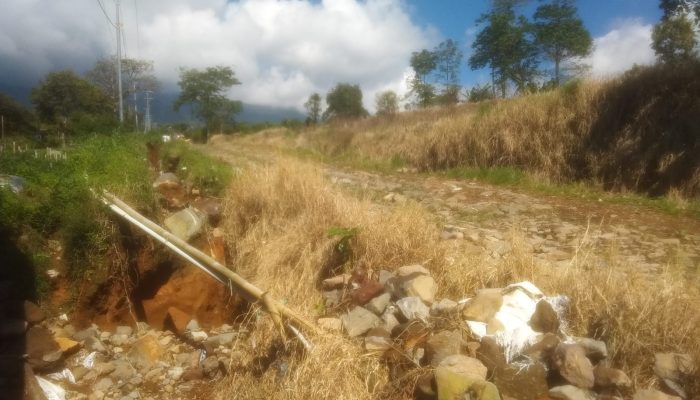Petani Ciguntur Cianjur Soroti Pasos-Pasum Eks HGU PT Tenggara: Drainase Diduga Bermasalah, Jalan dan Kebun Rusak Diterjang Banjir
