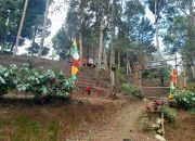 Bukit Cadas Gantung Digunduli, Kampung Cibuntu Terancam: Warga Tuding Aktivitas di Puncak Simun Picu Pergerakan Tanah