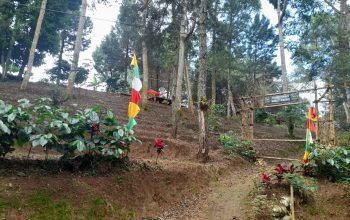 Bukit Cadas Gantung Digunduli, Kampung Cibuntu Terancam: Warga Tuding Aktivitas di Puncak Simun Picu Pergerakan Tanah