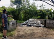 Puluhan Karung Limbah Usus Ayam Dibuang di Permukiman Warga Cianjur, Bau Menyengat Picu Kekhawatiran Penyakit