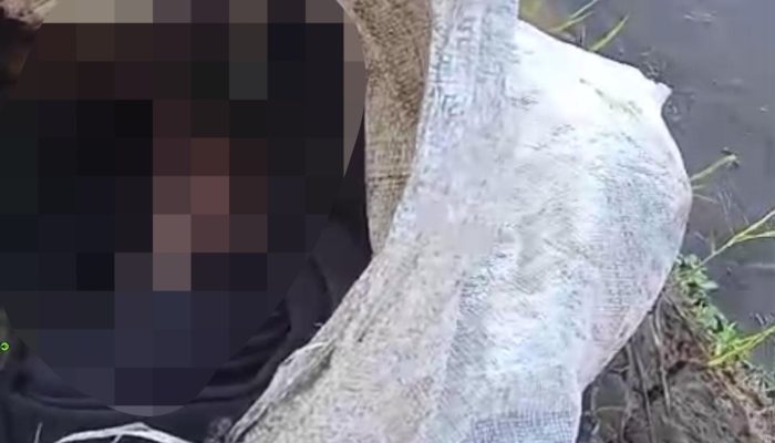 Tragedi di Sawah Cilaku: Bayi Baru Lahir Dibuang Dalam Karung, Tali Pusar Masih Menempel