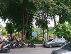 Kenaikan Tarif Parkir Tepi Jalan Denpasar Masih Menunggu Kondisi Inflasi Hingga Akhir 2024